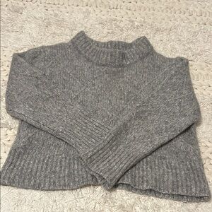 Everlane Gray Women's Sweater - Alpaca